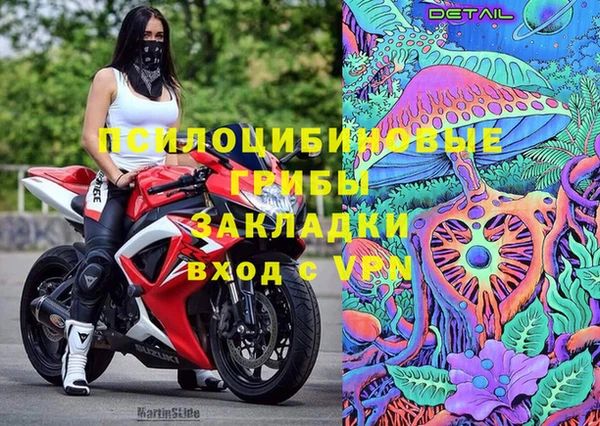 ПСИЛОЦИБИНОВЫЕ ГРИБЫ Бородино