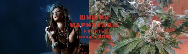 ПСИЛОЦИБИНОВЫЕ ГРИБЫ Бородино
