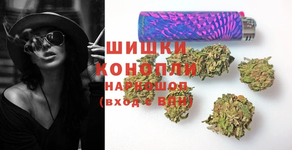 ПСИЛОЦИБИНОВЫЕ ГРИБЫ Бородино