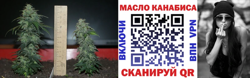 Дистиллят ТГК гашишное масло  Купить закладки  Великие Луки 