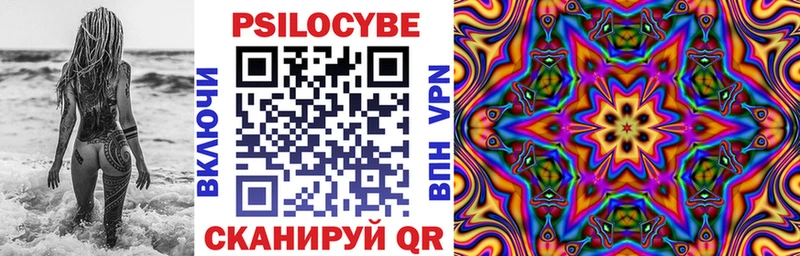 Купить закладки  Великие Луки  Псилоцибиновые грибы MAGIC MUSHROOMS 
